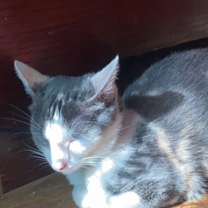 Meet your Posher, Adriana